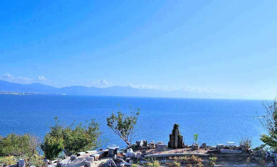 🏝️ 고고 섬(고고시마) 이미지 1